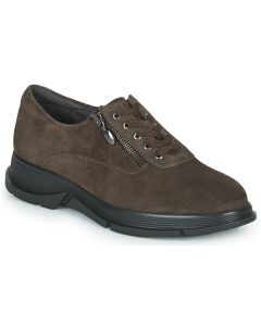 SCHOLL - Sneakers basse Scholl BRISTOL ZIP Marrone