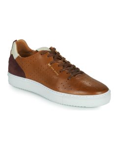 CARLINGTON - Sneakers Carlington FREDDI Marrone